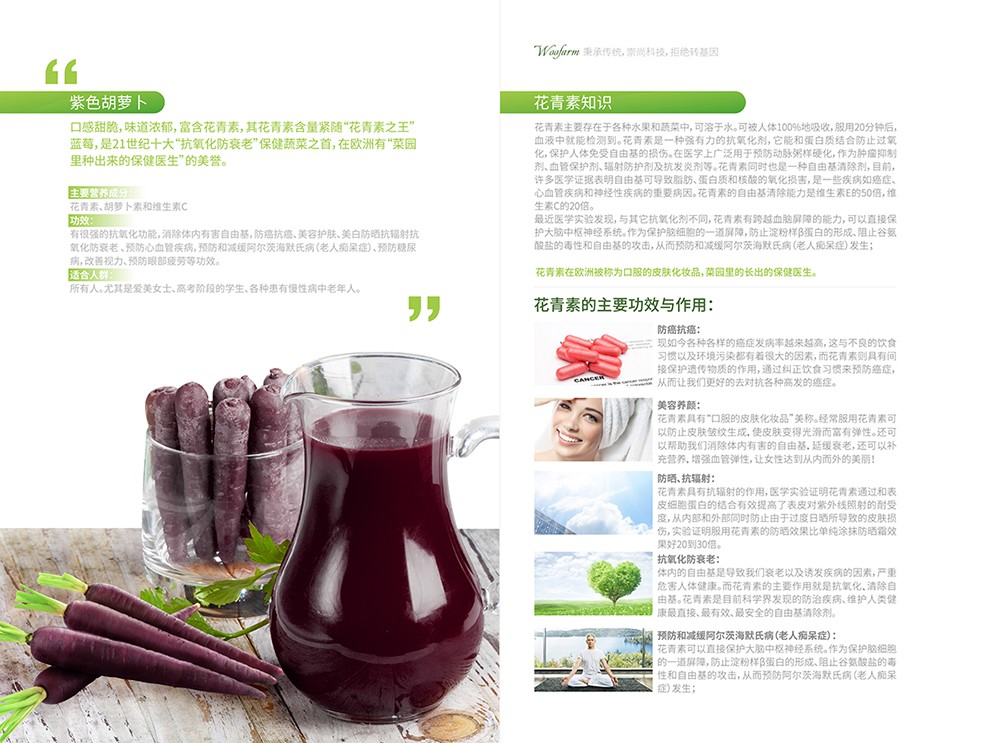 農(nóng)產(chǎn)品畫冊設計,農(nóng)副產(chǎn)品畫冊設計公司
