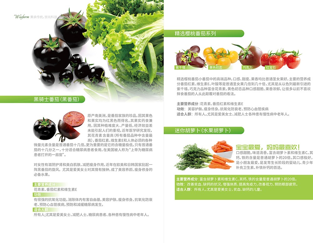 農(nóng)產(chǎn)品畫冊設計,農(nóng)副產(chǎn)品畫冊設計公司