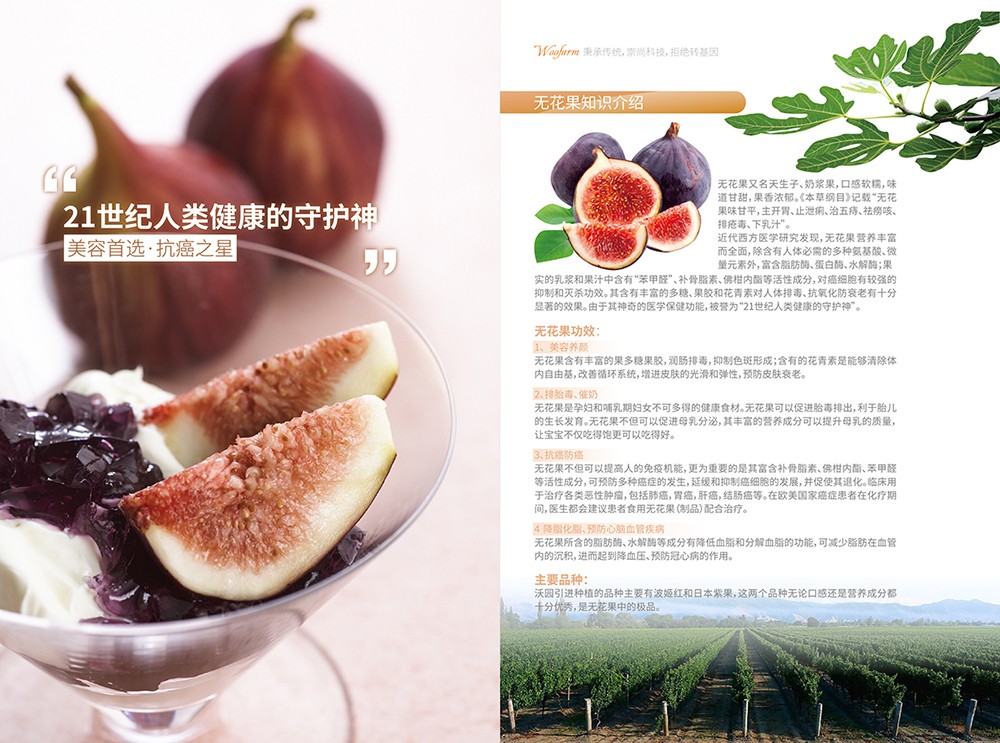 農(nóng)產(chǎn)品畫冊設計,農(nóng)副產(chǎn)品畫冊設計公司