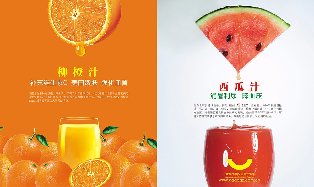 廣州飲料果汁畫(huà)冊(cè)設(shè)計(jì)-飲品類(lèi)畫(huà)冊(cè)設(shè)計(jì)公司