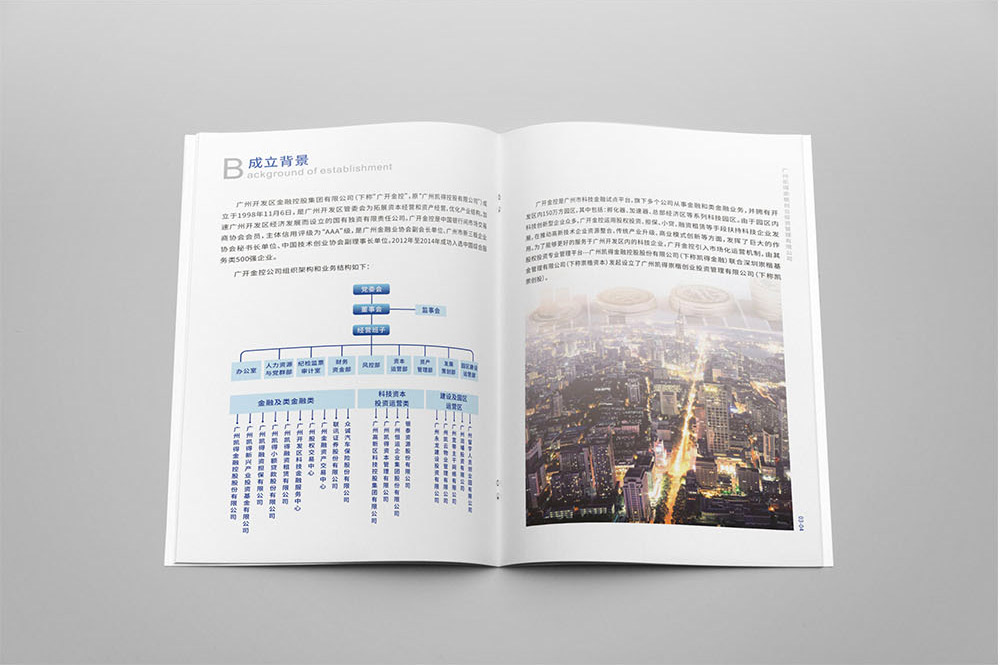 投資管理畫冊(cè)設(shè)計(jì),投資管理畫冊(cè)設(shè)計(jì)公司