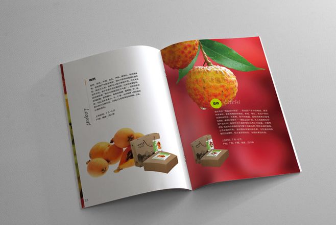 宣傳冊設(shè)計一般一頁多少錢？宣傳冊的特點有哪些？