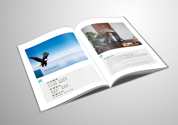 怎樣才是一本好的畫冊？