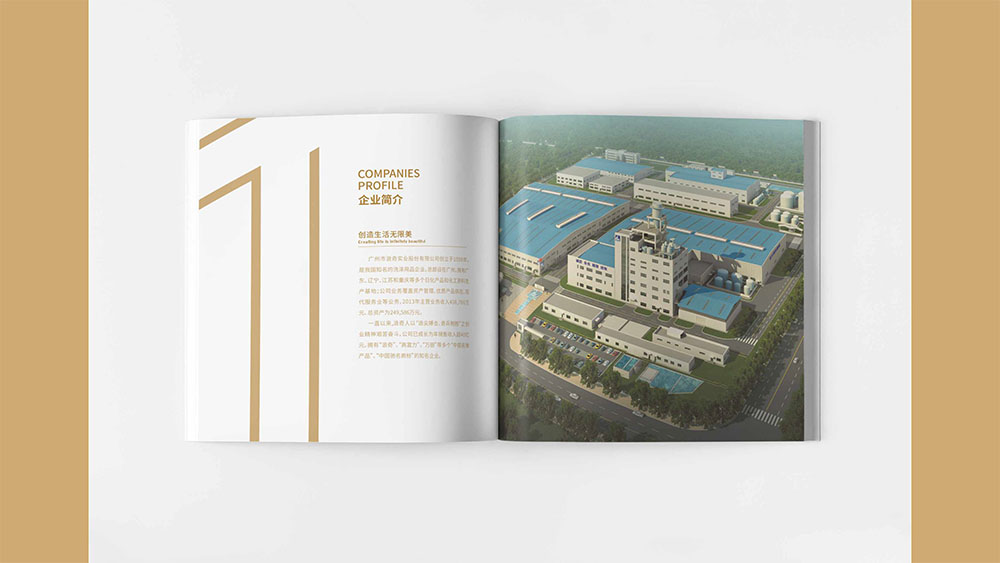 洗滌用品企業(yè)紀念冊設計,集團紀念冊設計公司