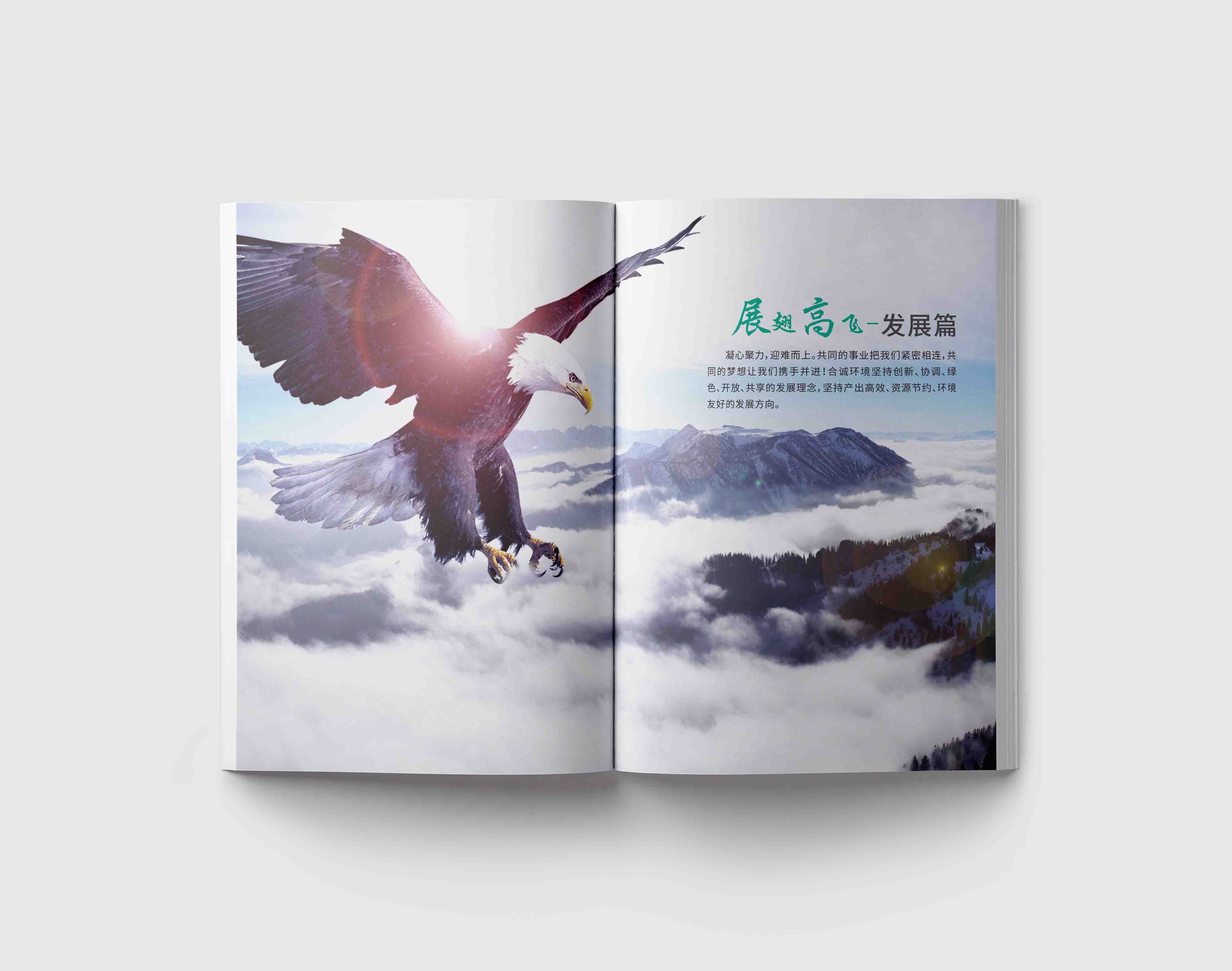 企業(yè)宣傳畫冊設計