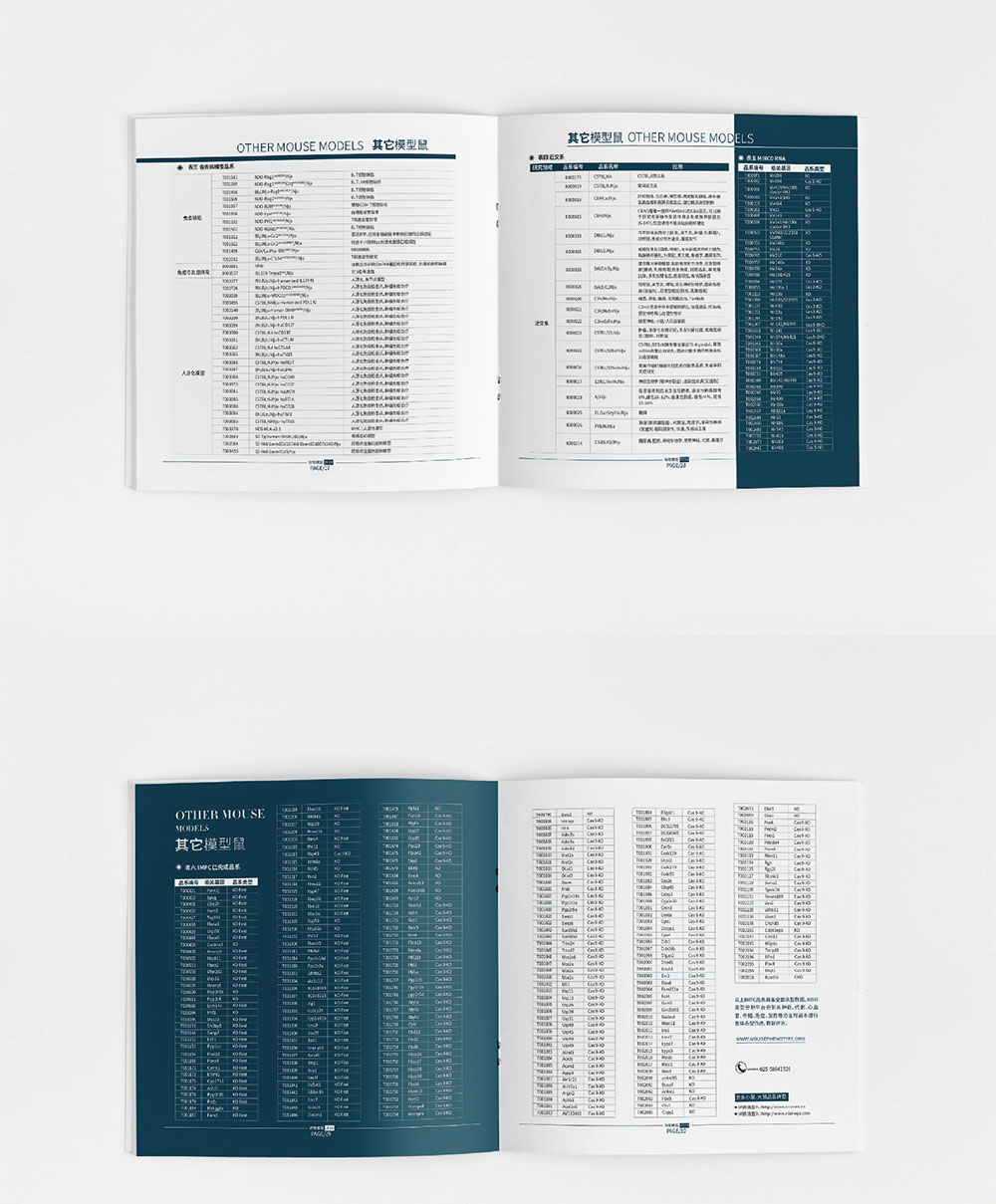 模型企業(yè)畫(huà)冊(cè)設(shè)計(jì),模型企業(yè)畫(huà)冊(cè)設(shè)計(jì)公司