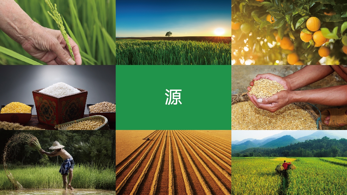 農產品品牌設計技巧有哪些？怎樣塑造品牌形象