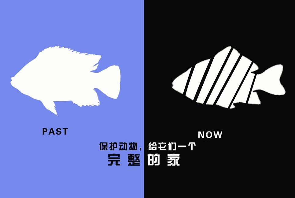 廣告設(shè)計制作