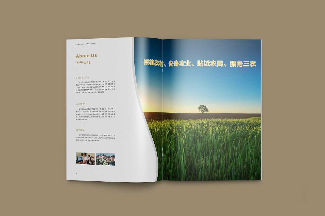 成都企業(yè)為什么要選擇高端宣傳冊設(shè)計公司呢？