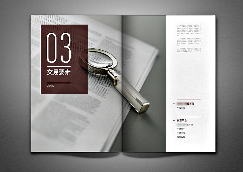 武漢企業(yè)畫冊設計有哪些戰(zhàn)略性攻略？